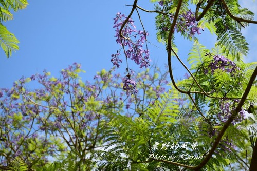 ���㥫����02