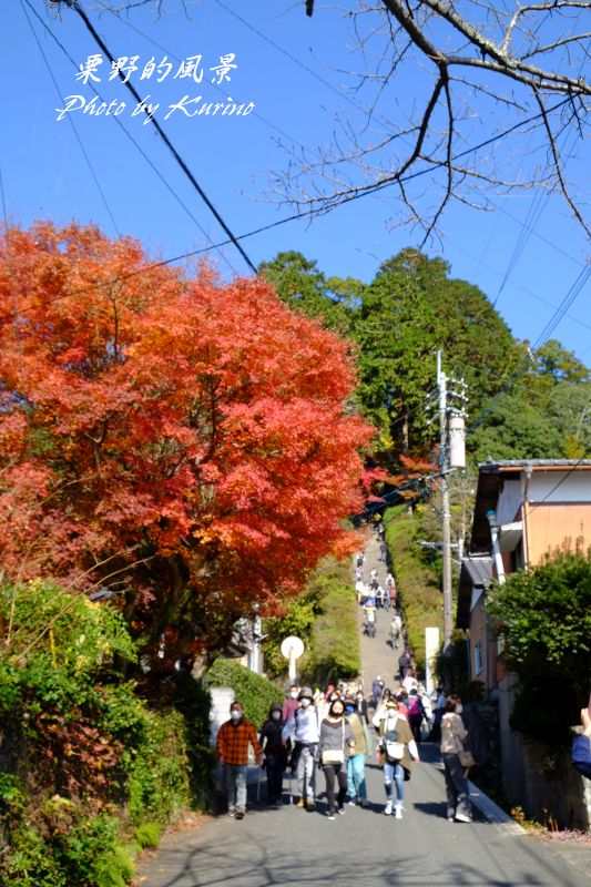 真っ赤に染まった大興善寺 基山町 の紅葉 栗野的風景 真っ赤に染まった大興善寺 基山町 の紅葉 栗野的風景