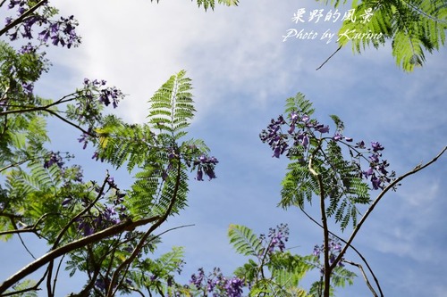 ���㥫����01