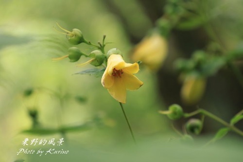����󥲥��祦��03