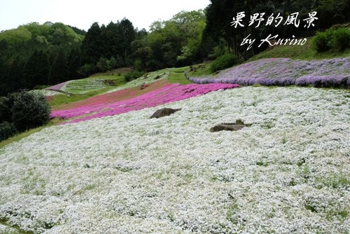 ��ޥ�����01