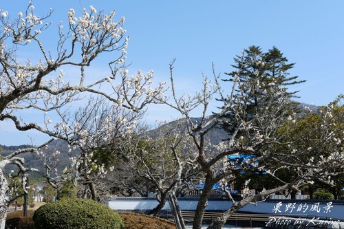 �ȹ���� 04