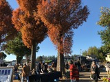 line_24070549038218