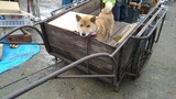 IMG_20210620_085803