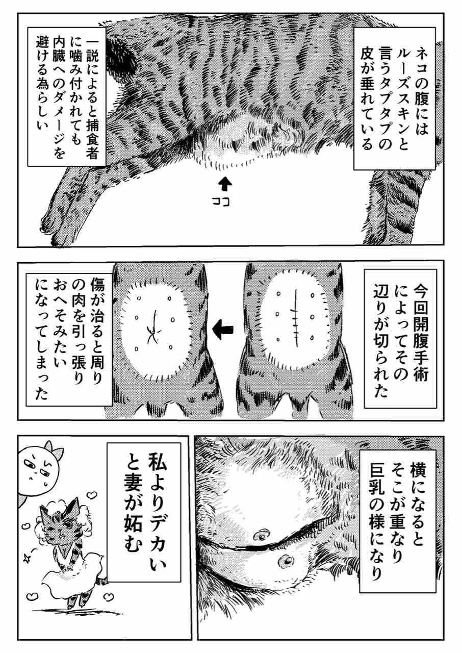 たぷんたぷん マンガ家の裏メニュー