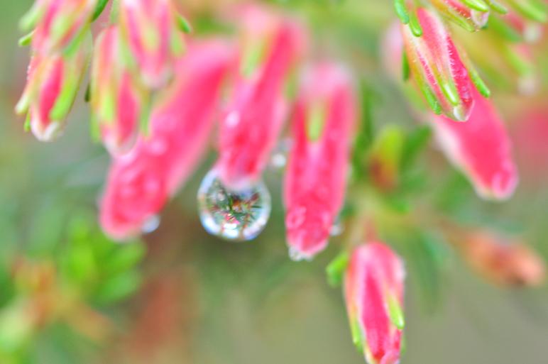 送料込 Patternvase花挿し雨雫 ガラス ステンドグラス Oceanrepublicbrewing Com 送料込 Patternvase花挿し雨雫 ガラス ステンドグラス Oceanrepublicbrewing Com