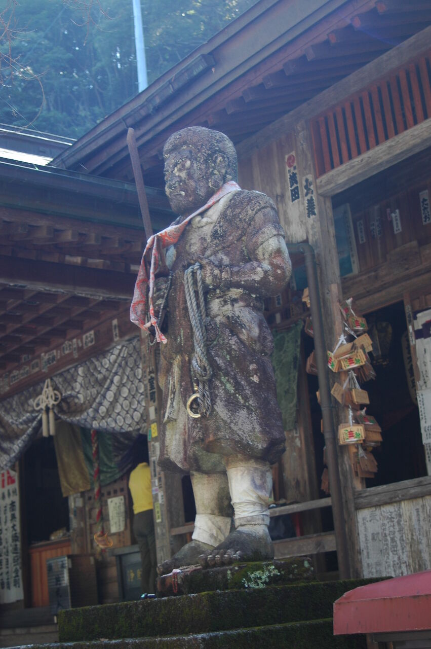 花いろいろ : 第三十六番青龍寺（しょうりゅうじ）