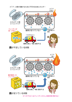 鉄とエネルギー不足