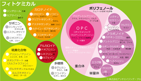フィトケミカルマップ(植物名付き)