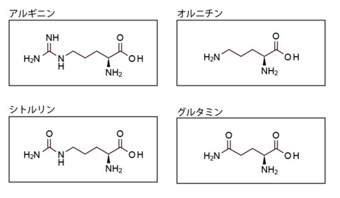 構造式