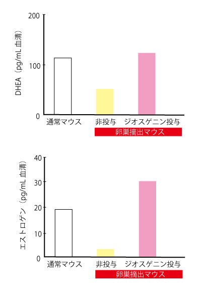 ジオスゲニンとDHEA・エストロゲン