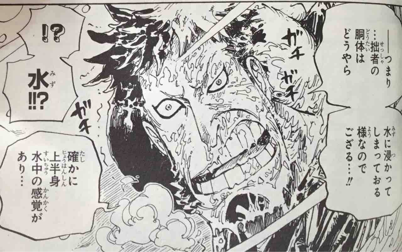 パンクハザード編 くろねこのブログ