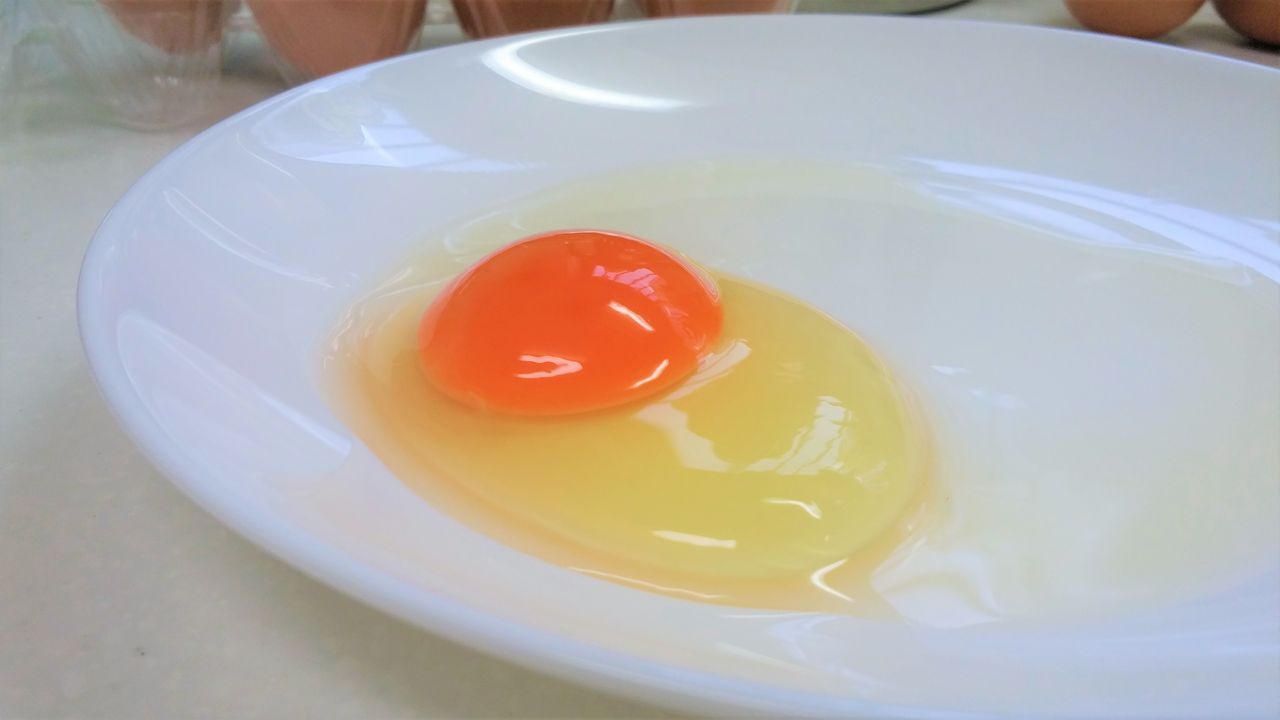 濃厚 とろ り の卵かけご飯が食べたい 伊勢原の 寿雀卵 を買いに行く 厚木くろみくる 家族4人の郊外ライフ