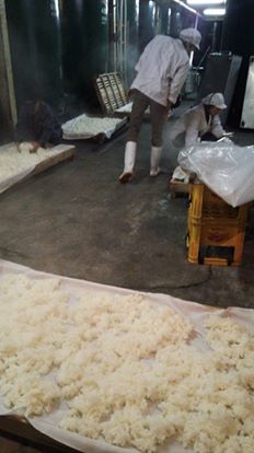 10933824_933610056684385_2736564642728235361_n