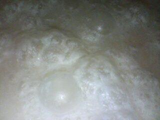 7ab4012f.jpg