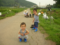 ccec8e2d.jpg
