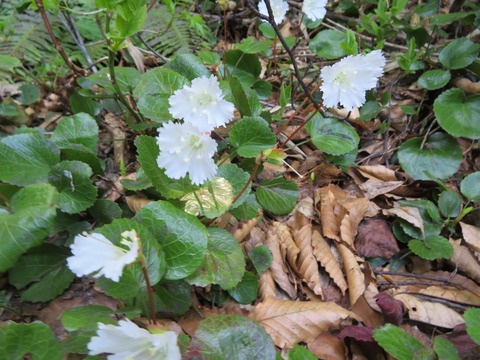 041