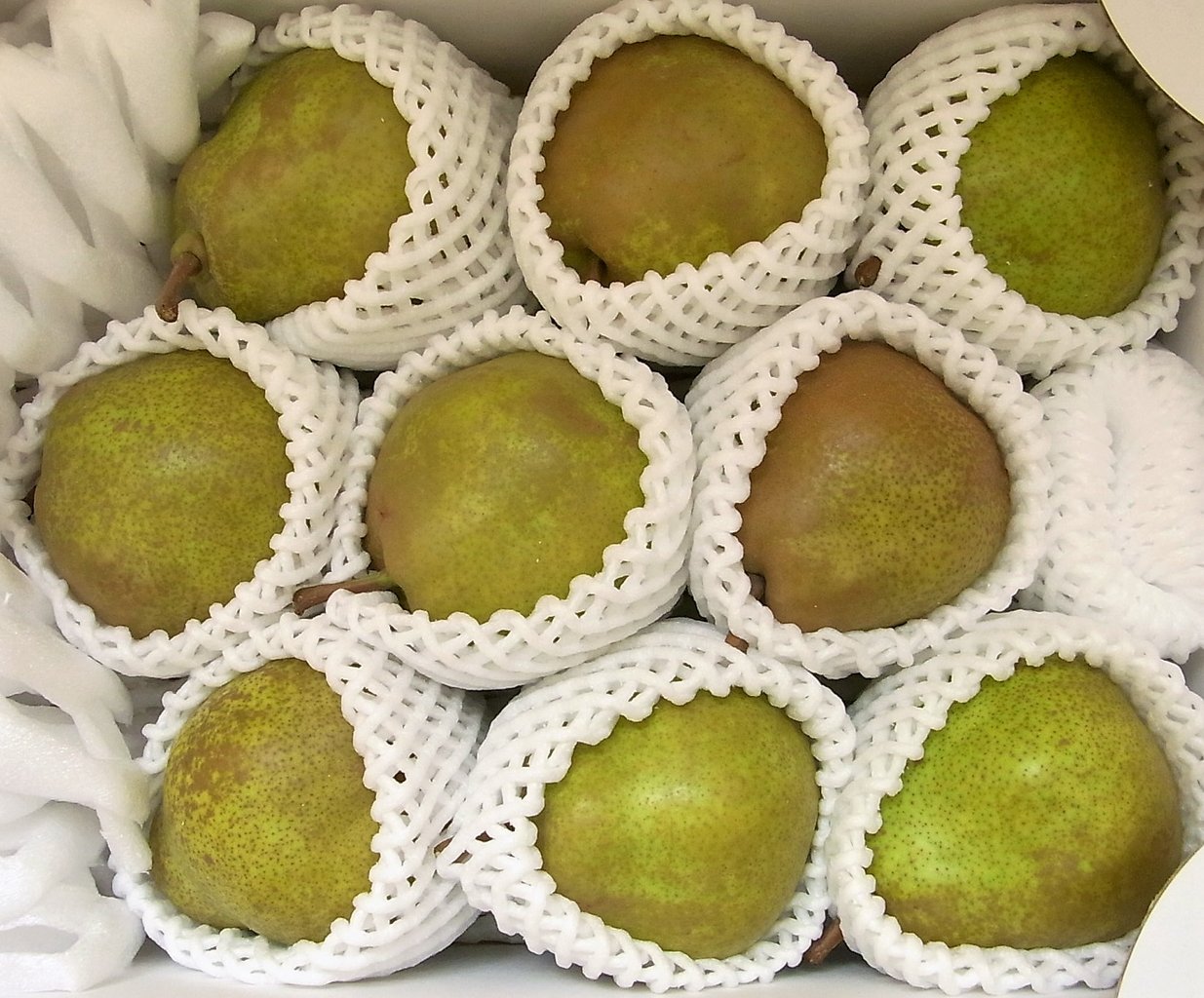 エクセディから優待到着 株主優待でゆる節約生活中