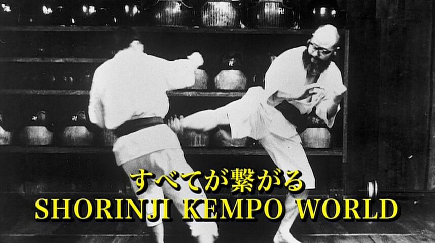 SHORINJI KEMPO WORLD 少林寺拳法ワールド World Shorinji Kempo Organization / 少林寺拳法世界連合