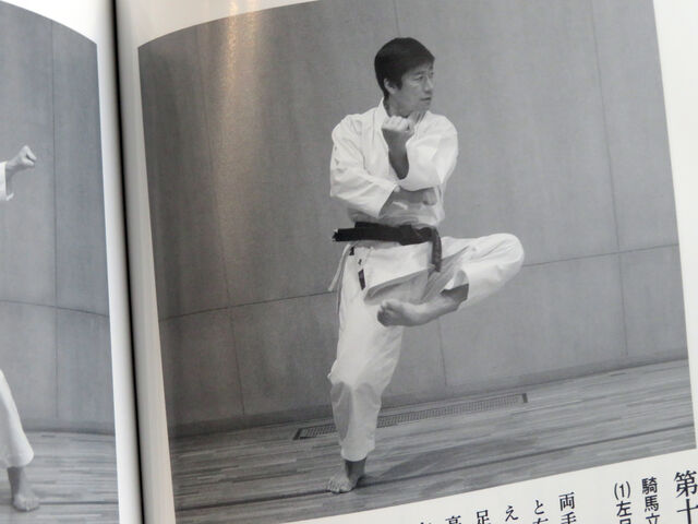 中　達也　技のトリセツ ほぼ新品「中達也 技のトリセツ」DVD＋武道空手の本質とは-究極