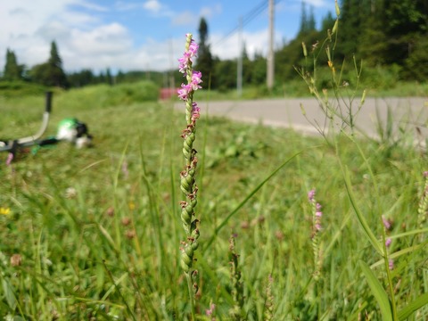 22年07月 ながのもこみち