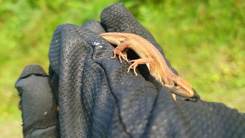 22年07月 ながのもこみち