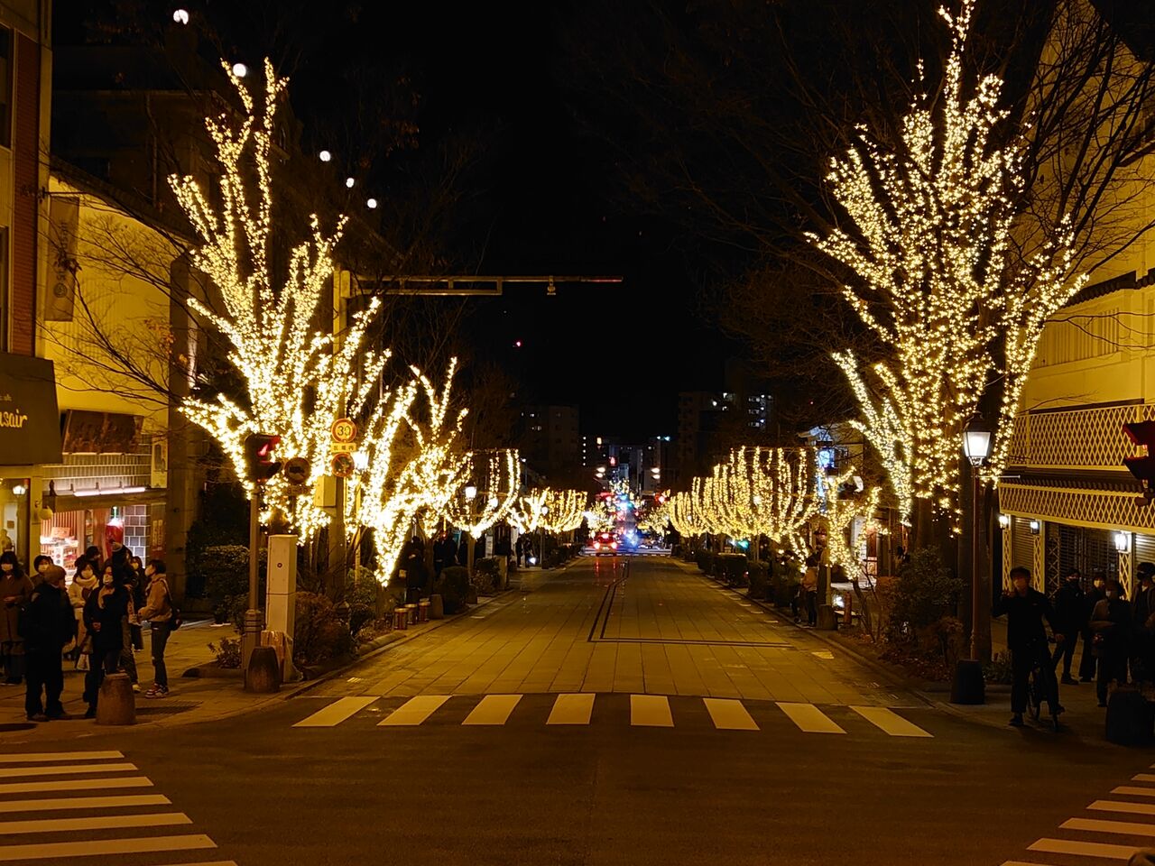 牛に引かれて善光寺 イルミネーションが綺麗 ながのもこみち