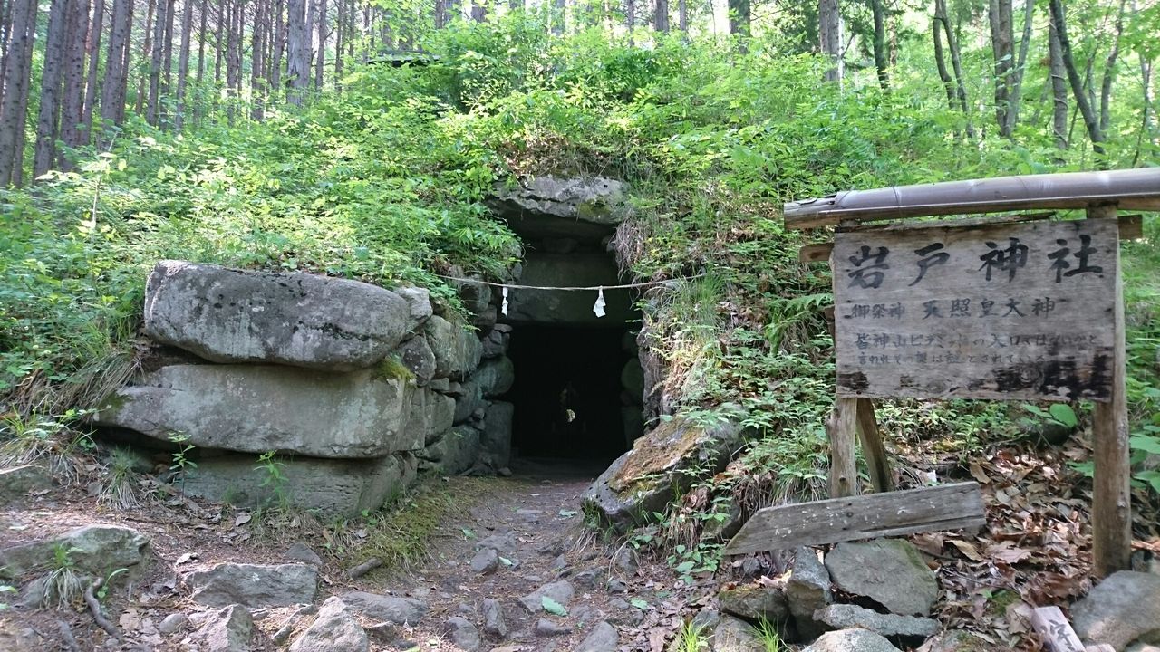皆神山の古墳 岩戸神社へ ながのもこみち