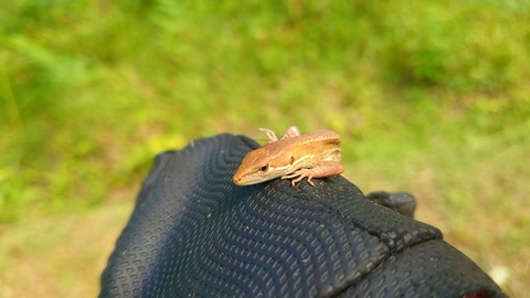 22年07月 ながのもこみち