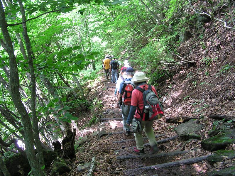 かたびらっこ日帰りバス旅行 蓼科中央高原横谷峡ウォーク 横谷峡滝めぐりpart1 よろ爺の気まぐれ旅日記