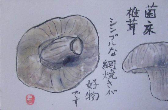絵手紙シリーズ しいたけ 椎茸 四季の花図鑑