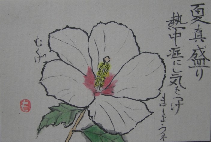 絵手紙シリーズ 夏の花 ムクゲ 木槿 四季の花図鑑