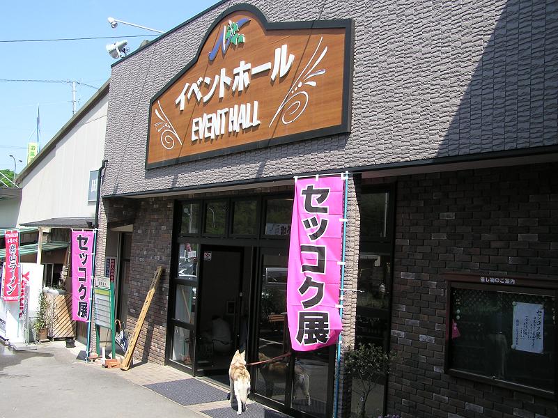 春の花便り 野生蘭 セッコク 展 四季の花図鑑