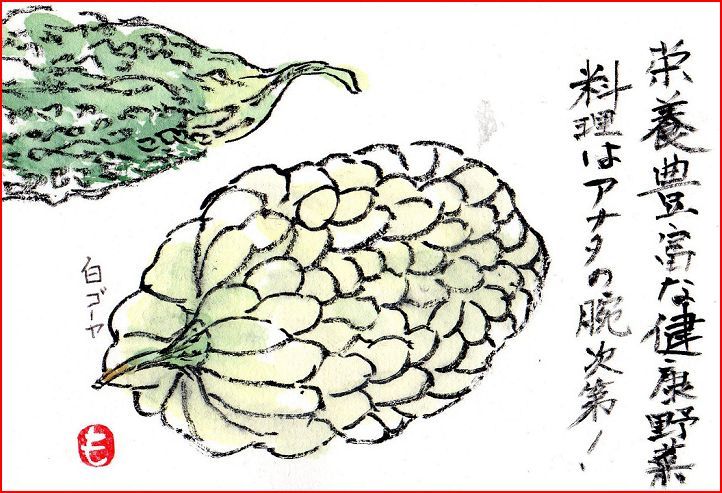 絵手紙シリーズ 白ゴーヤ : 四季の花図鑑