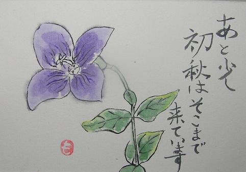 絵手紙シリーズ キキョウ 桔梗 四季の花図鑑