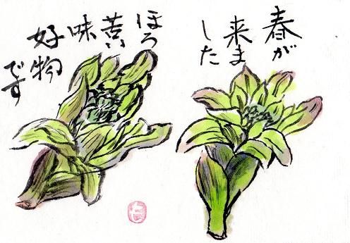 絵手紙シリーズ フキノトウ 蕗の薹 四季の花図鑑