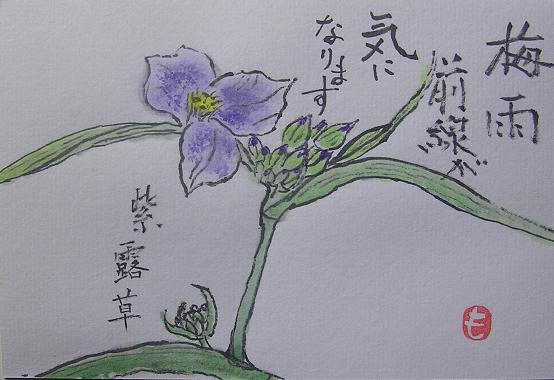 絵手紙シリーズ ムラサキツユクサ 紫露草 四季の花図鑑