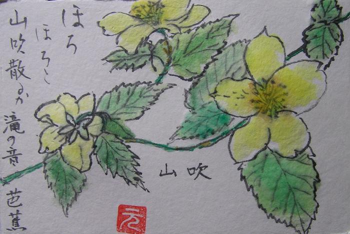 絵手紙シリーズ ヤマブキ 山吹 四季の花図鑑 絵手紙シリーズ ヤマブキ 山吹 四季の花図鑑