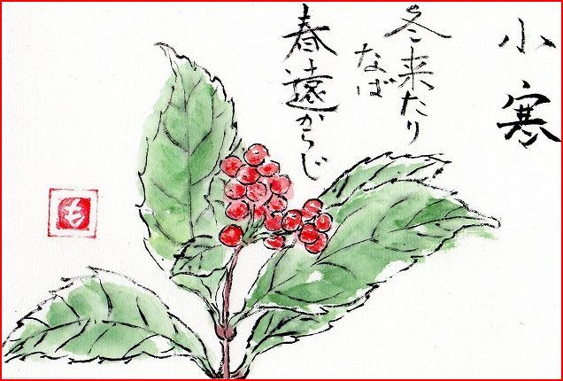 絵手紙シリーズ センリョウ 千両 四季の花図鑑