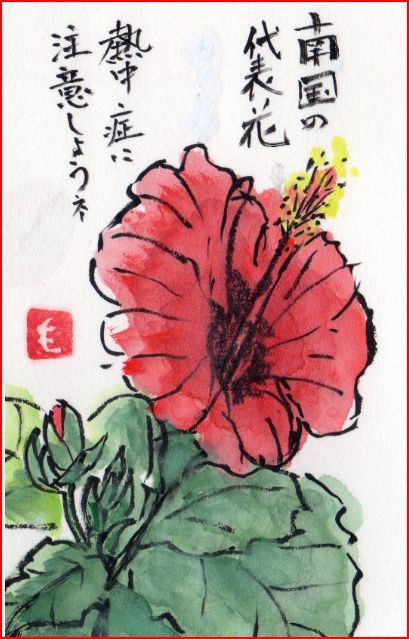 絵手紙シリーズ 南国の代表花 ハイビスカス 四季の花図鑑