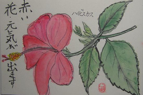 絵手紙シリーズ ハイビスカス 仏桑花 四季の花図鑑