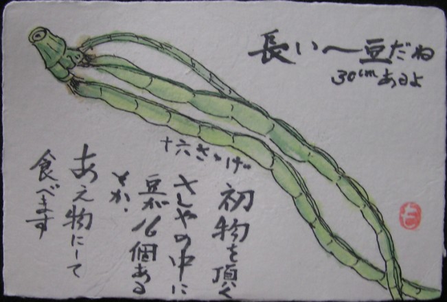原画】元気がもらえる野菜の絵 A4 1点もの 顔彩絵の具 ささげ豆