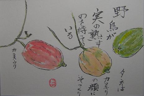 絵手紙シリーズ カラスウリ（烏瓜） : 四季の花図鑑
