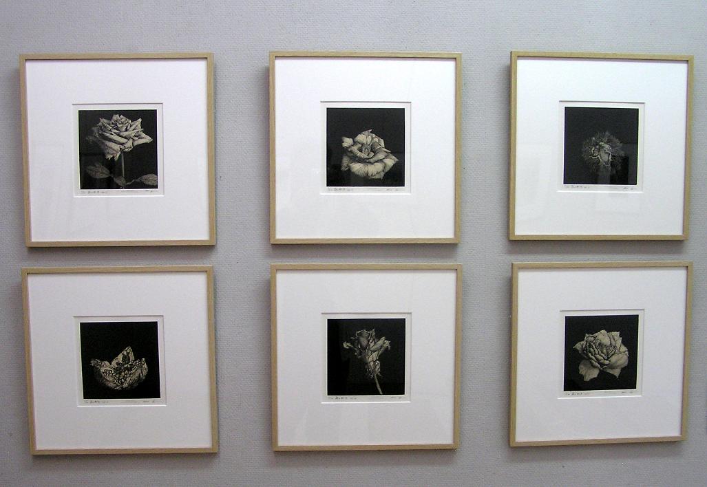 番外編 安藤真司 銅板画展 : 四季の花図鑑