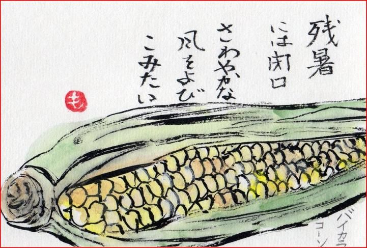絵手紙シリーズ トウモロコシ 玉蜀黍 四季の花図鑑 絵手紙シリーズ トウモロコシ 玉蜀黍 四季の花図鑑