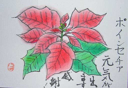 番外編 絵手紙ーポインセチア : 四季の花図鑑