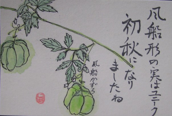 花の絵  風船葛 / フウセンカズラ 花の絵 風船葛 / フウセンカズラ