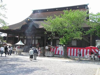 春の花便り 江南曼荼羅寺公園の藤の花 四季の花図鑑 春の花便り 江南曼荼羅寺公園の藤の花 四季の花図鑑