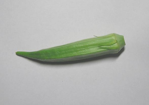 絵手紙シリーズ 夏の健康食品 オクラ 四季の花図鑑