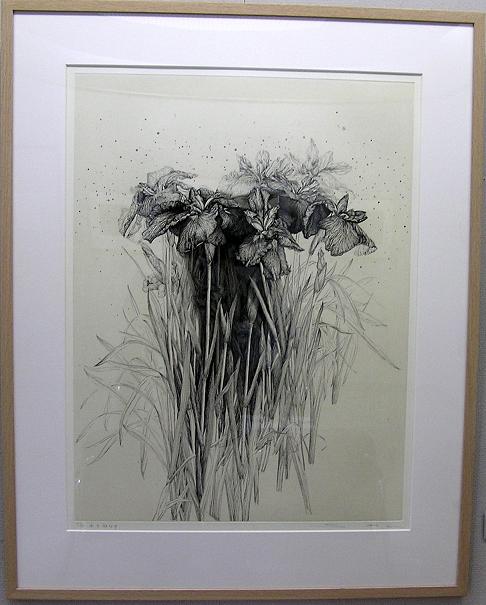 番外編 安藤真司 銅板画展 : 四季の花図鑑